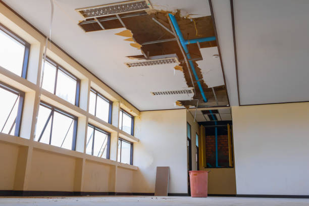 Best Flood restoration services  in Texarkana, TX