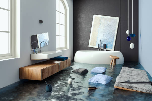 Best Flood damage cleanup  in Texarkana, TX