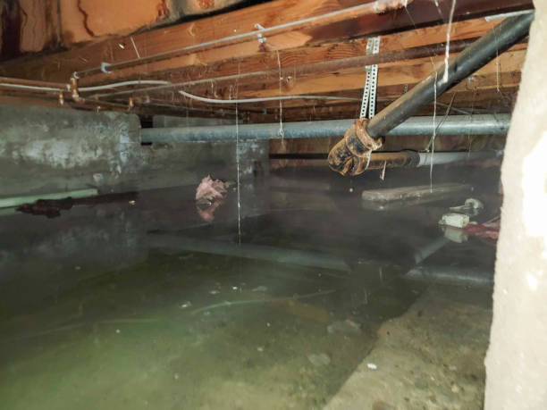 Professional Water damage restoration in Texarkana, TX