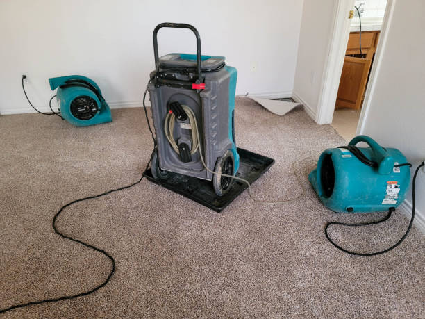 Best Water damage restoration services  in Texarkana, TX