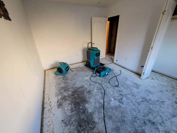 Best Water damage contractors near me  in Texarkana, TX